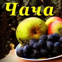 Традиционная чача - самогон из винограда