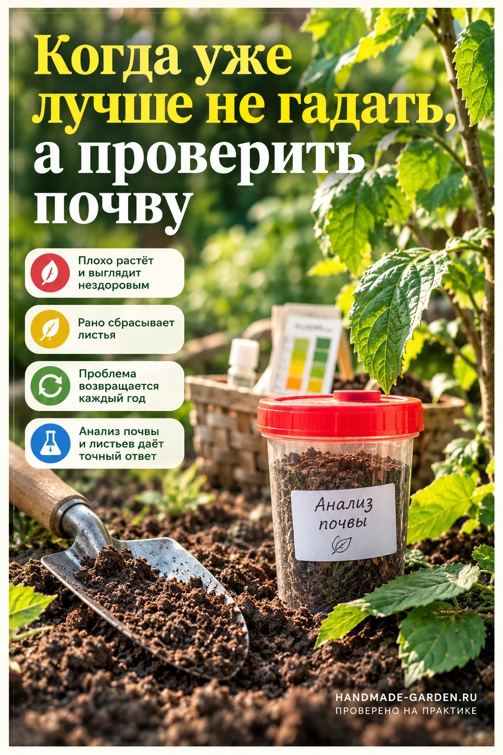 Почва может быть виновата, даже если вы регулярно подкармливаете