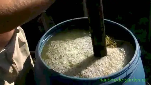 Рецепт настоя от вредоносных насекомых