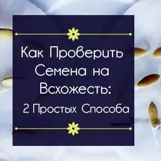 Профессиональные секреты успешной всхожести
