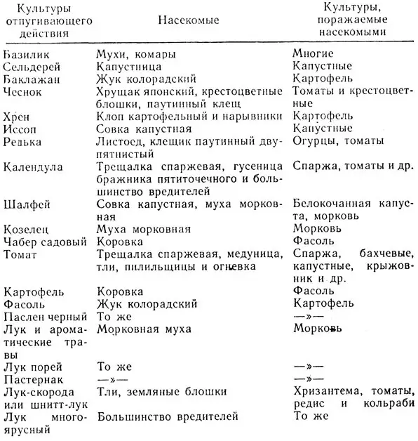 Как бороться с мухами на даче