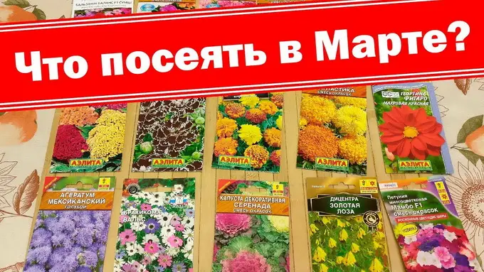 Благоприятные посадочные дни в марте Благоприятные посадочные дни в марте