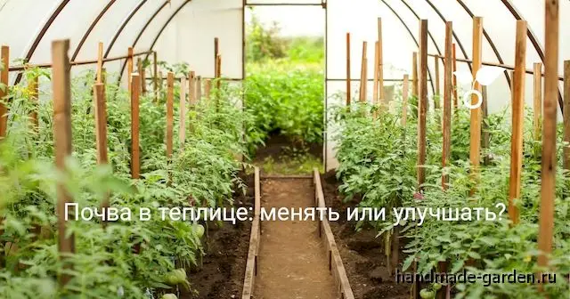 Замена земли в теплице осенью Замена земли в теплице осенью