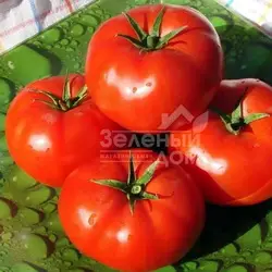 интернет-магазин &laquo;Зеленый Дом&raquo;