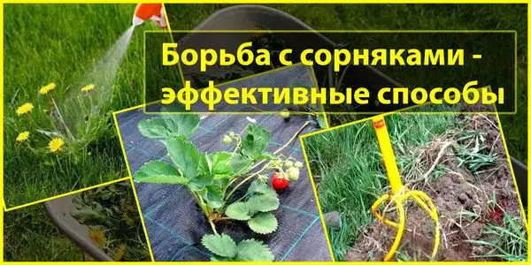 Самое эффективное средство против сорняков
