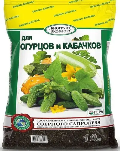 Что положить в лунку при посадке кабачков