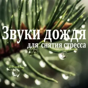 Почему дождь расслабляет: как уменьшить стресс