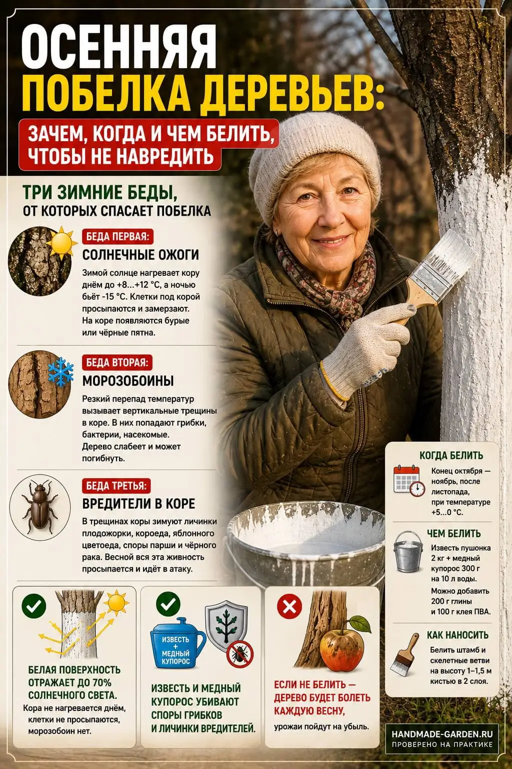 Побелка деревьев осенью