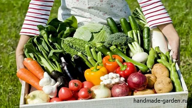Смешивайте культуры Смешивайте культуры