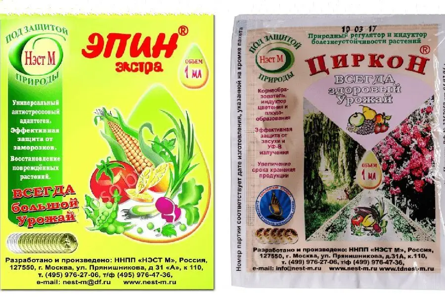 Защищаем огурцы от болезней Защищаем огурцы от болезней