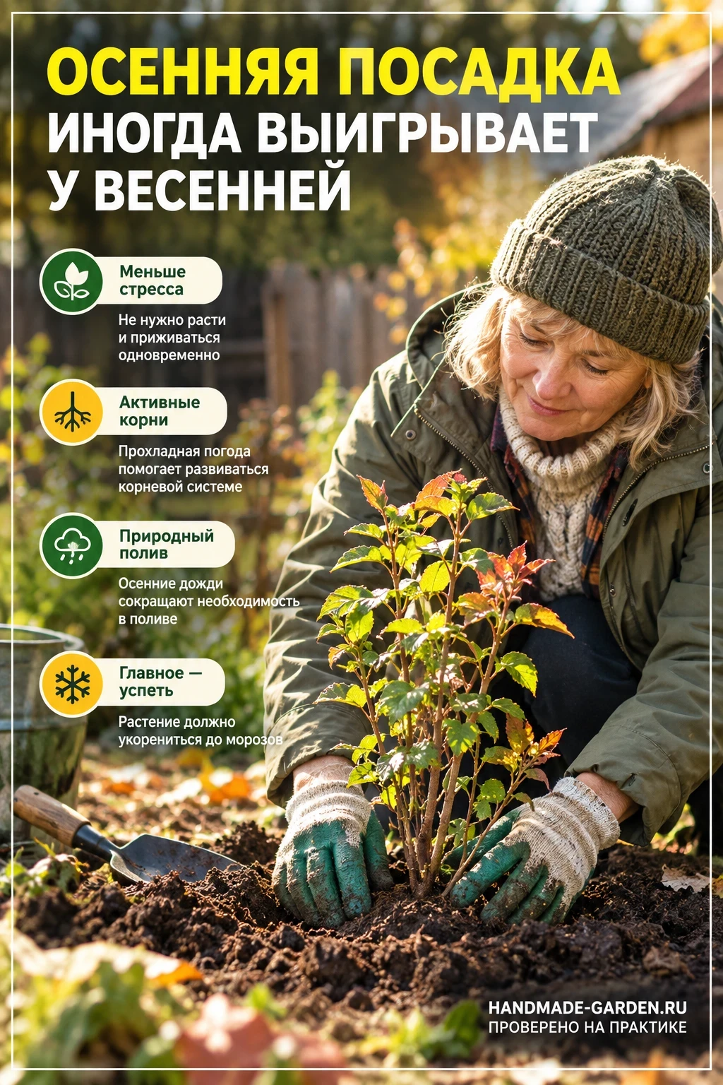 какие растения лучше приживаются осенью