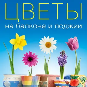Секреты успешного выращивания цветов на балконе