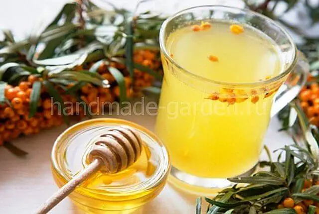 Березовый сок с медом и облепихой