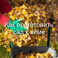 Как подготовить сад к зиме