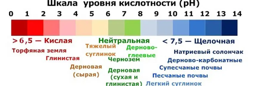 РН-МЕТРЫ: КАК ИСПОЛЬЗОВАТЬ