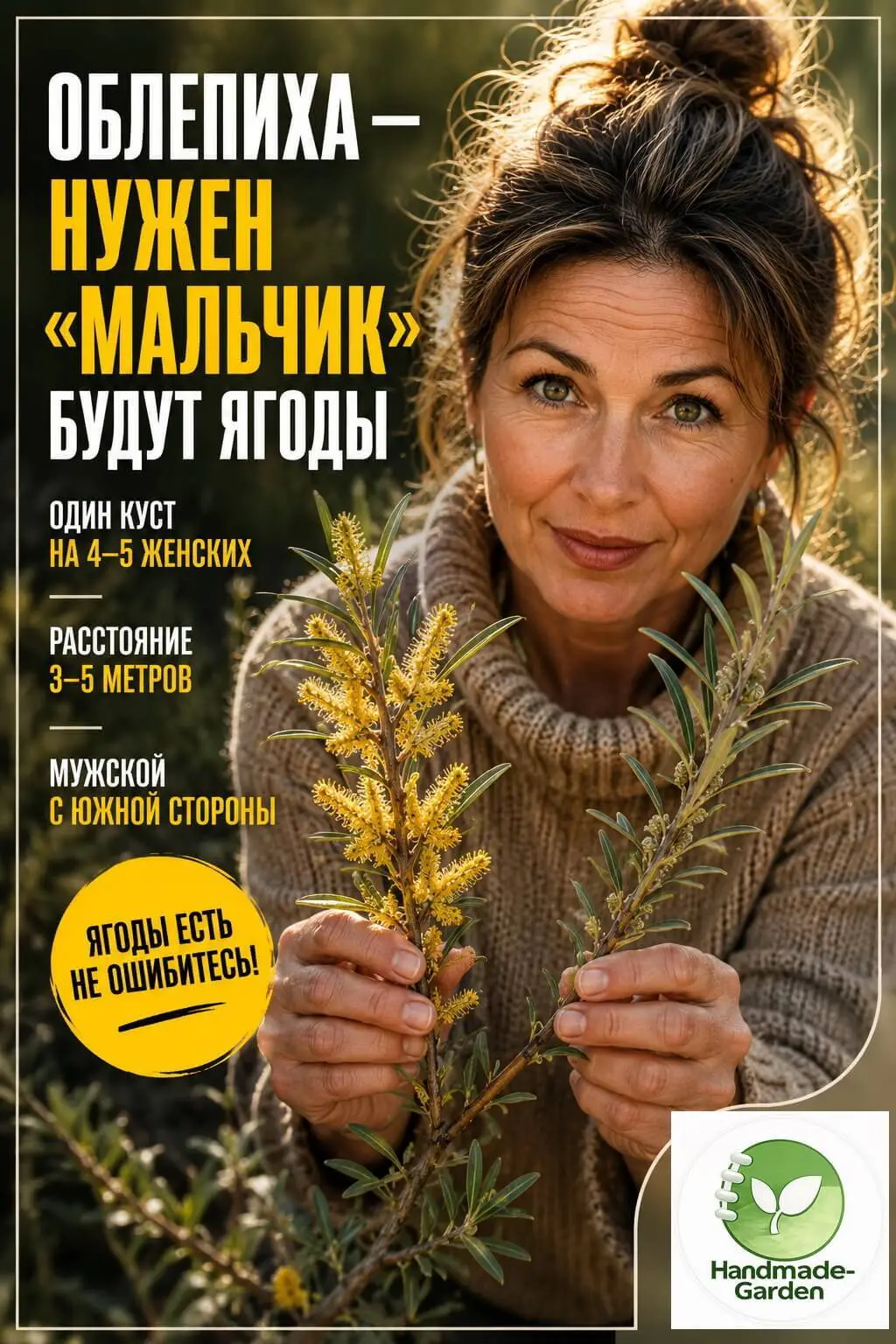 Облепиха не плодоносит? У тебя нет мужского растения