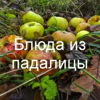 Что делать с падалицей яблок