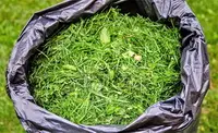Какую пользу может иметь скошенная трава