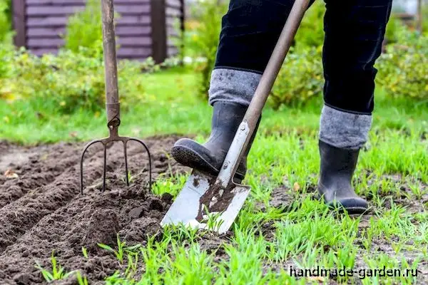 Календарь посадок по лунному календарю на 2021 год для Сибири