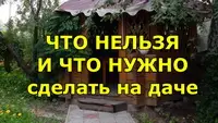 Дачные приметы, в которые верят даже опытные садоводы