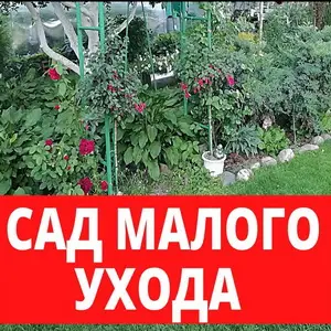 Как создать сад, который не нужно поливать и удобрять