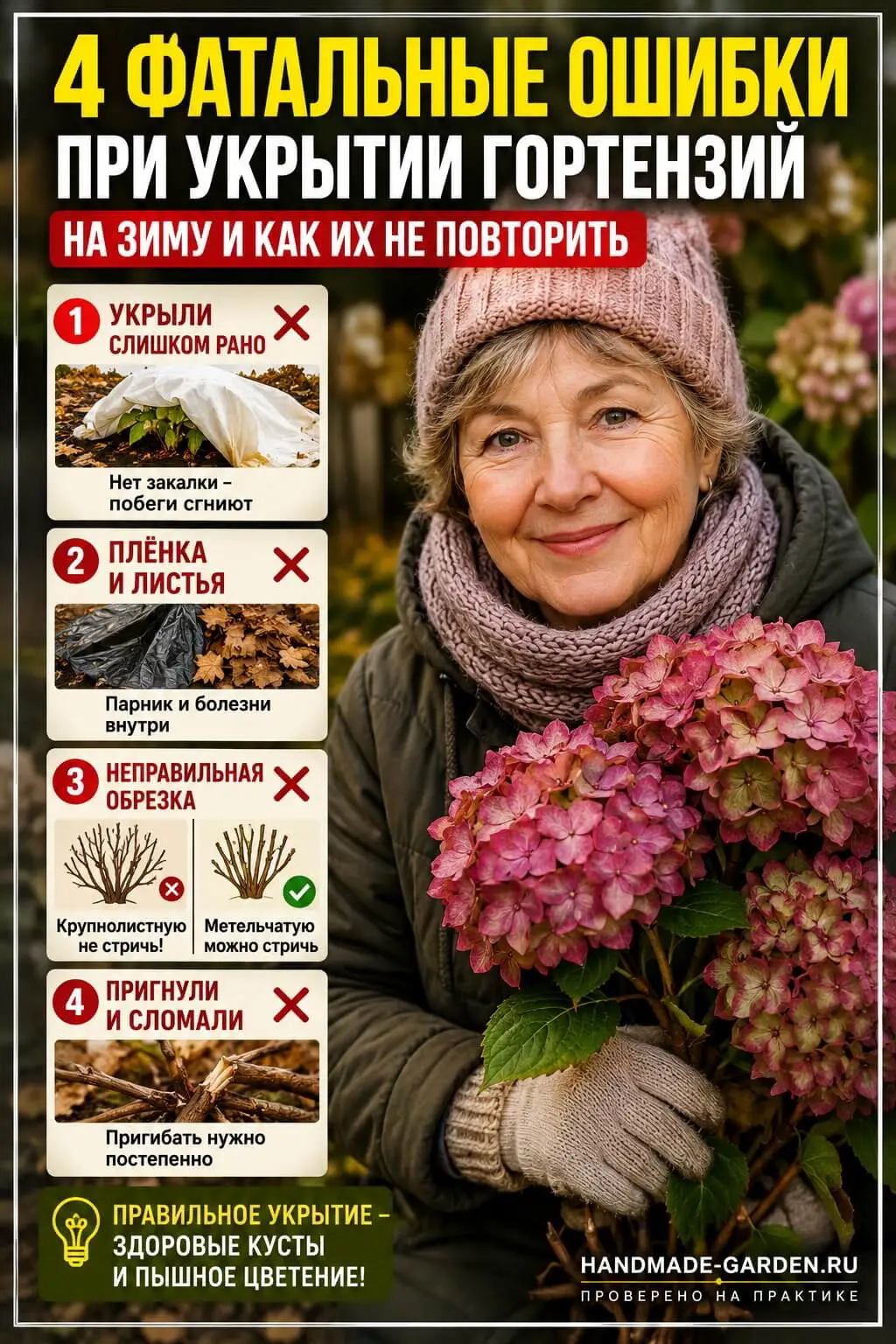 ошибки при укрытии гортензий на зиму