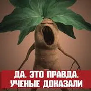 Растения кричат, когда их срезаешь?