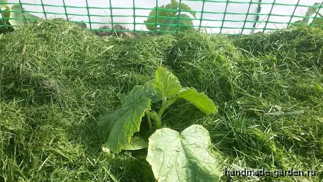 Мульчирование скошенной травой Мульчирование скошенной травой