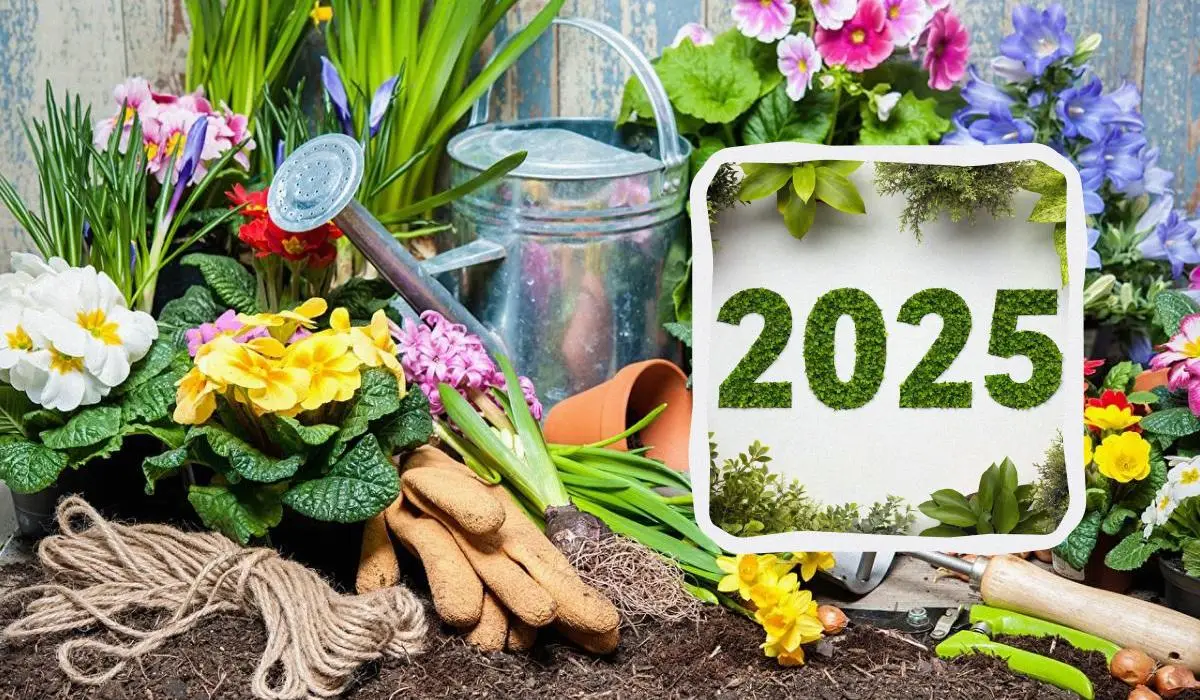 Планируйте уход за цветами с Лунным календарём 2025 Планируйте уход за цветами с Лунным календарём 2025