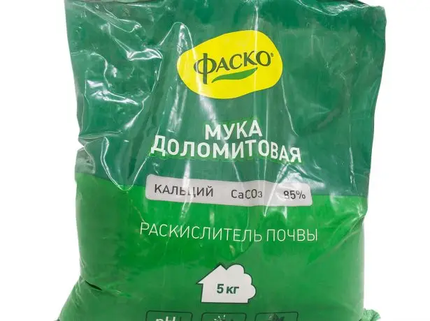 Что делать, когда на грядке желтеет укроп Что делать, когда на грядке желтеет укроп