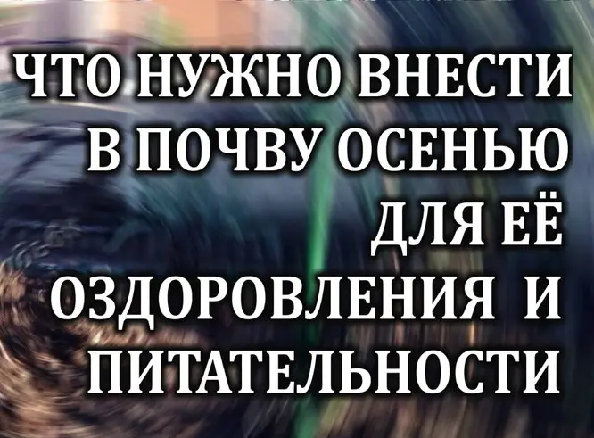 Оживление почвы после сезона: Часто задаваемые вопросы Оживление почвы после сезона: Часто задаваемые вопросы