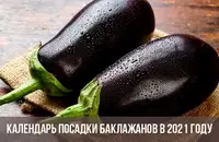 Посадка семян баклажан на рассаду&nbsp;в 2021 году по лунному календарю