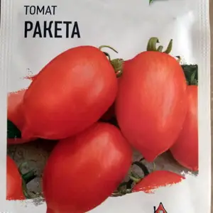 Узнайте, как вырастить томаты Ракета