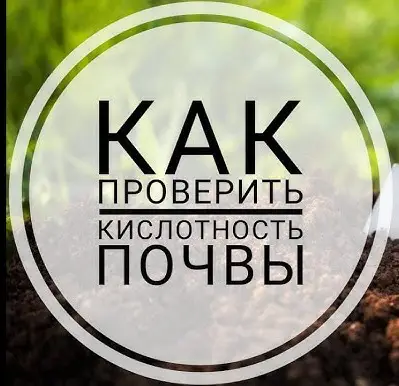 Секреты определения кислотности почвы