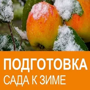 Подготовка сада к зиме