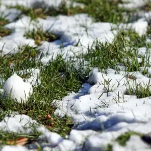 Работы в огороде: чем заняться в декабре?