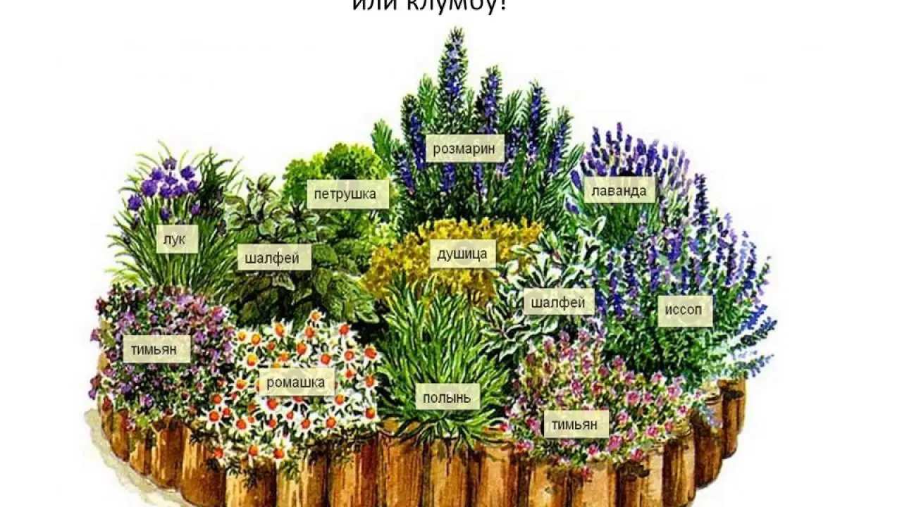 Сад пряных трав