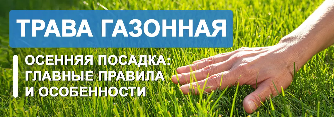 Осенний посев травы требует подготовки почвы и выбора подходящих семян. Осенний посев травы требует подготовки почвы и выбора подходящих семян.