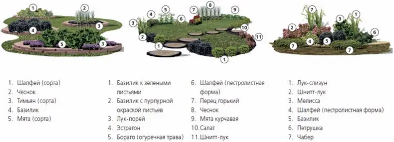 Сад пряных трав