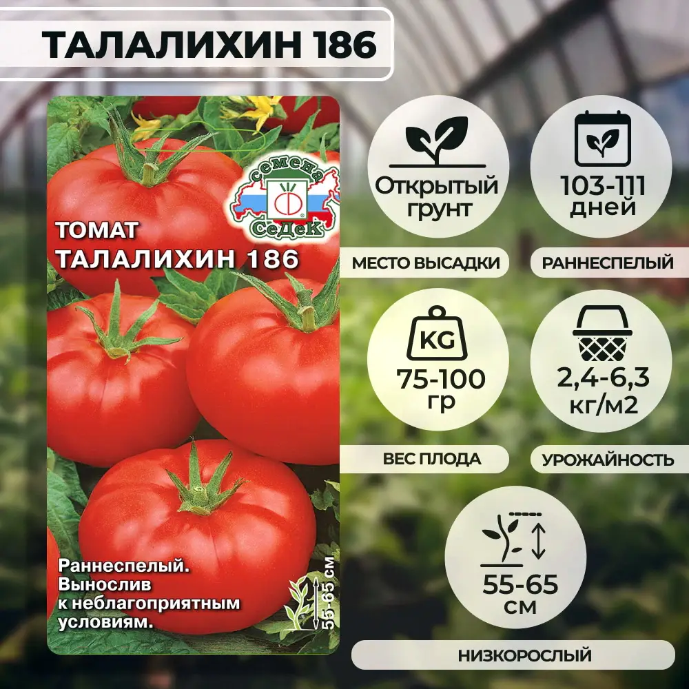 Томат «Талалихин 186»