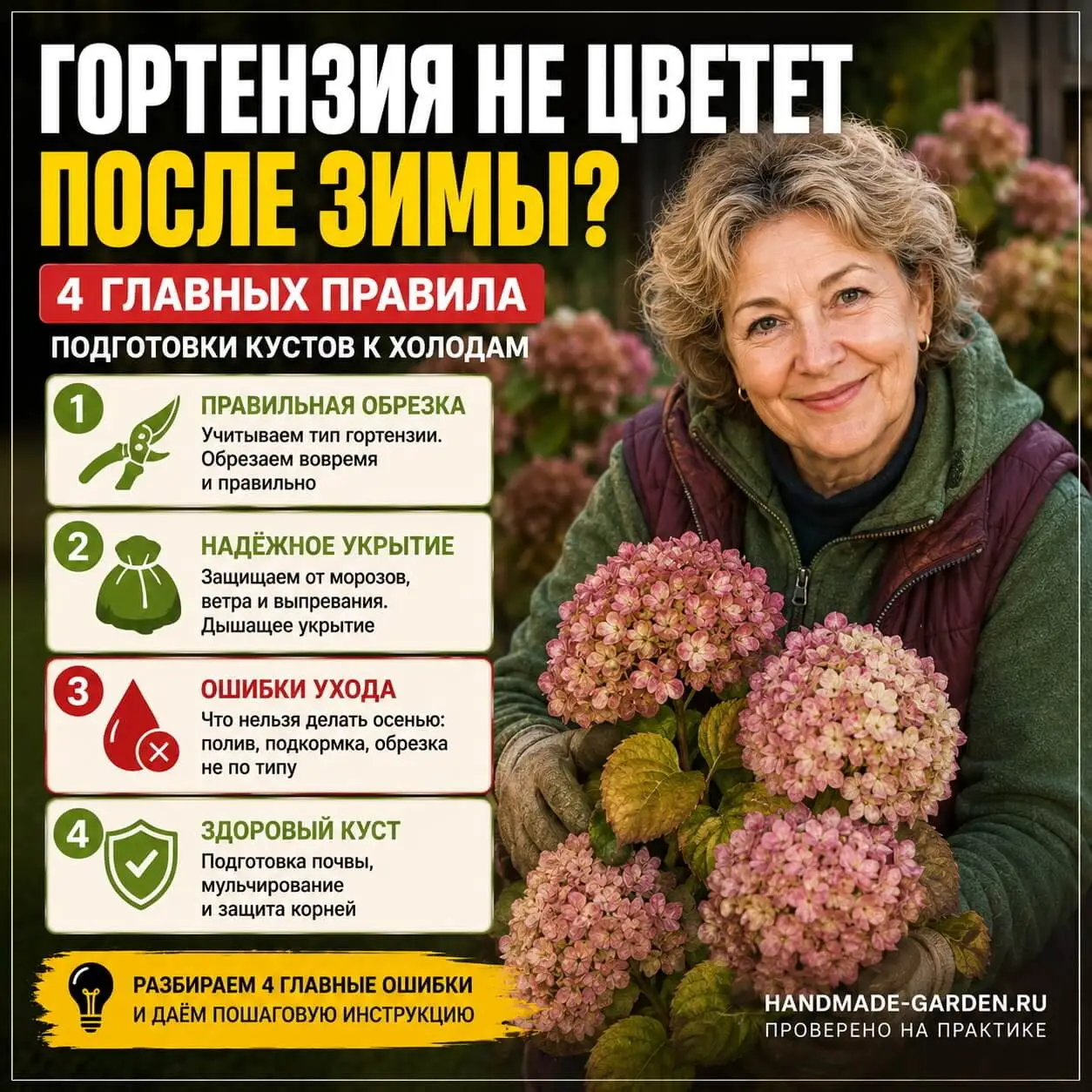 ошибки при укрытии гортензий на зиму