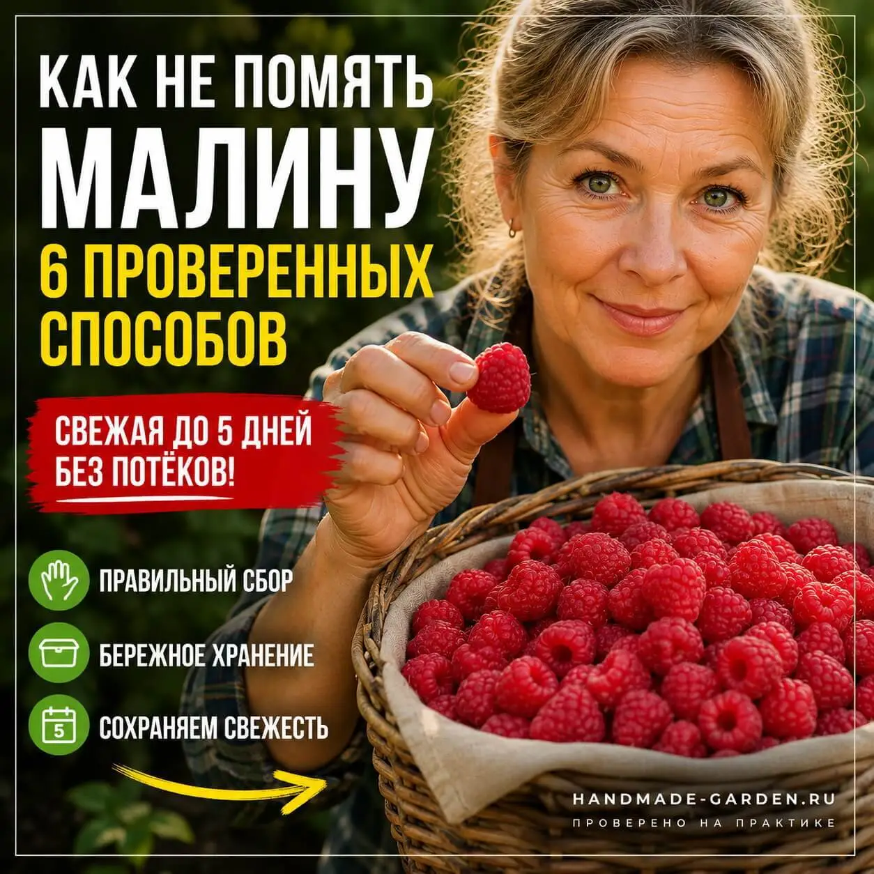 Как не помять малину при сборе: 6 проверенных способов