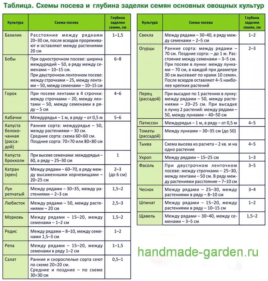 Когда пересаживать рассаду в открытый грунт? Когда пересаживать рассаду в открытый грунт?