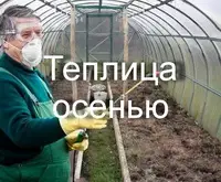 Замена земли в теплице осенью