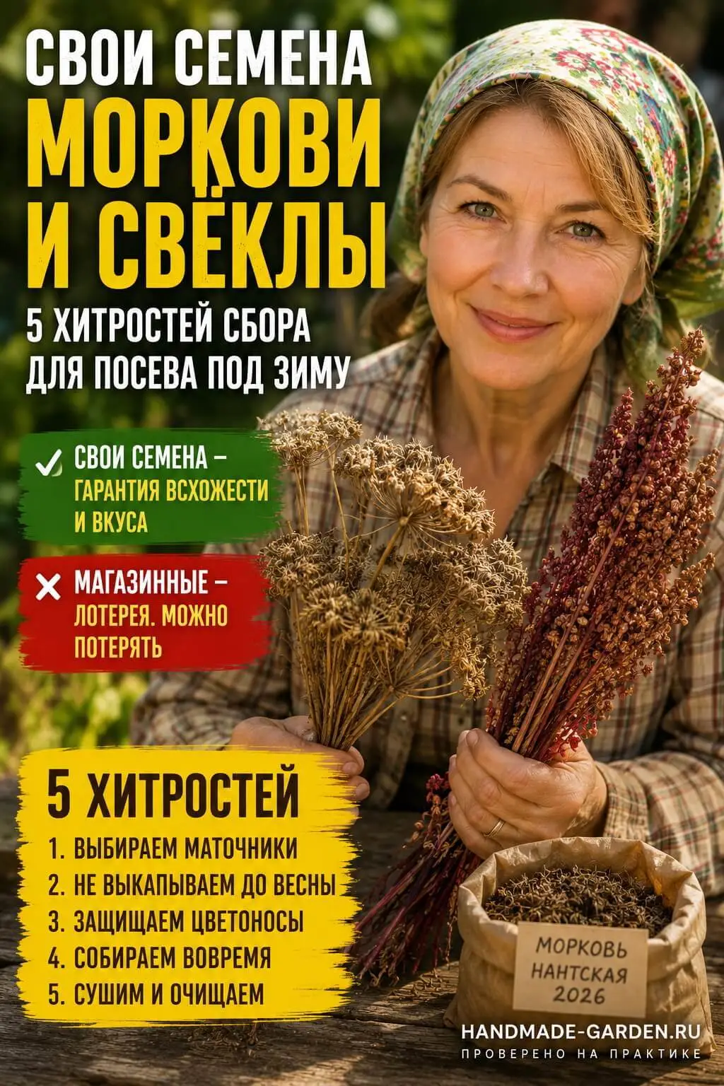 Свои семена моркови и свёклы