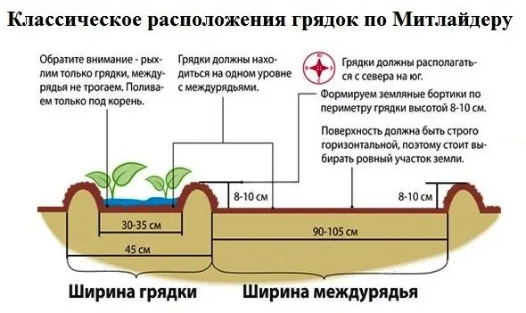Схема узкой грядки по методу Митлайдера