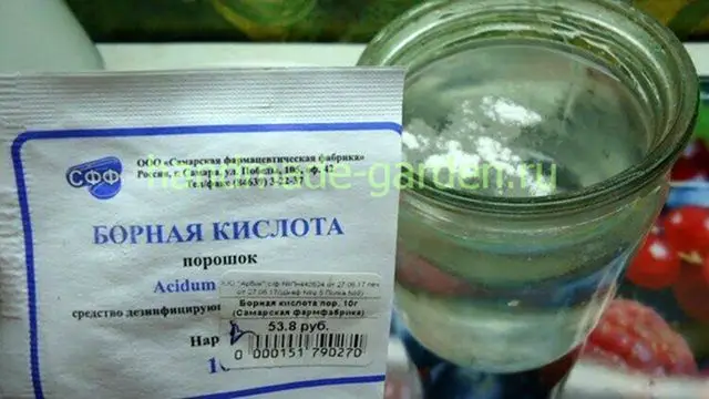 Обработка картофеля перед посадкой от болезней и вредителей Обработка картофеля перед посадкой от болезней и вредителей