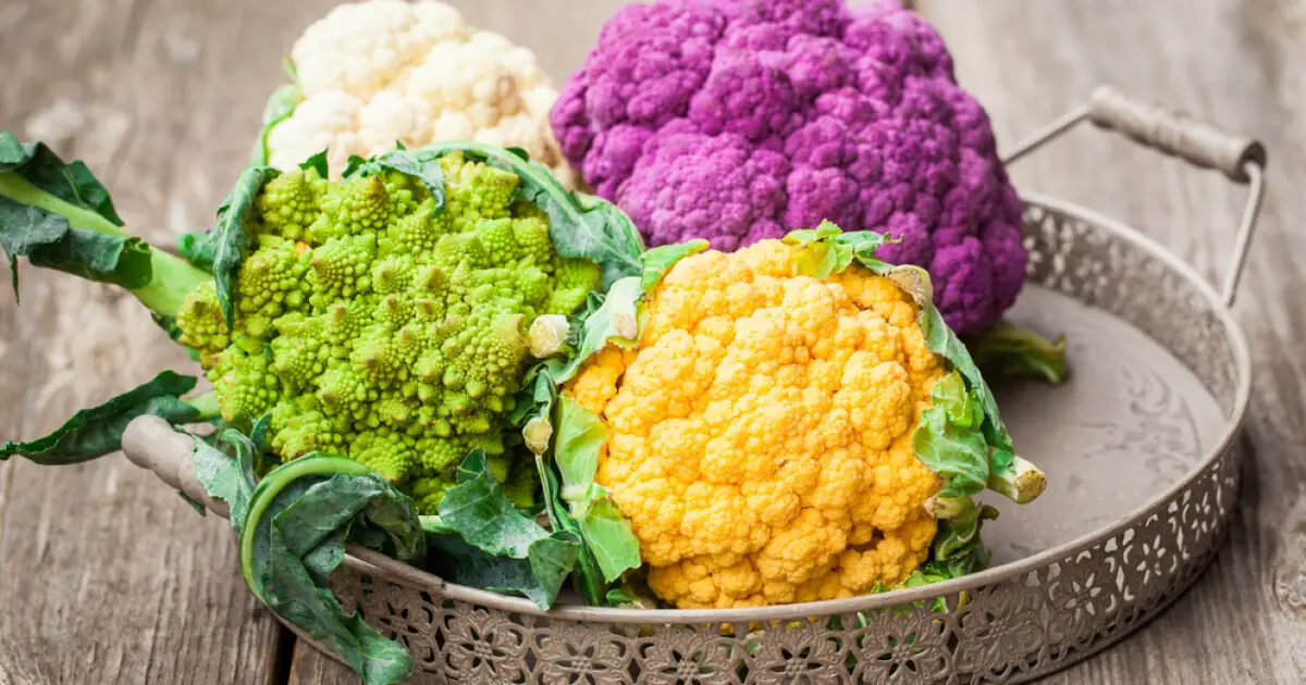 Фиолетовая цветная капуста (Brassica oleracea var. botrytis) Фиолетовая цветная капуста (Brassica oleracea var. botrytis)