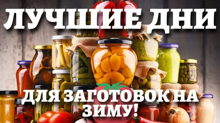 Лунный календарь консервирования Лунный календарь консервирования