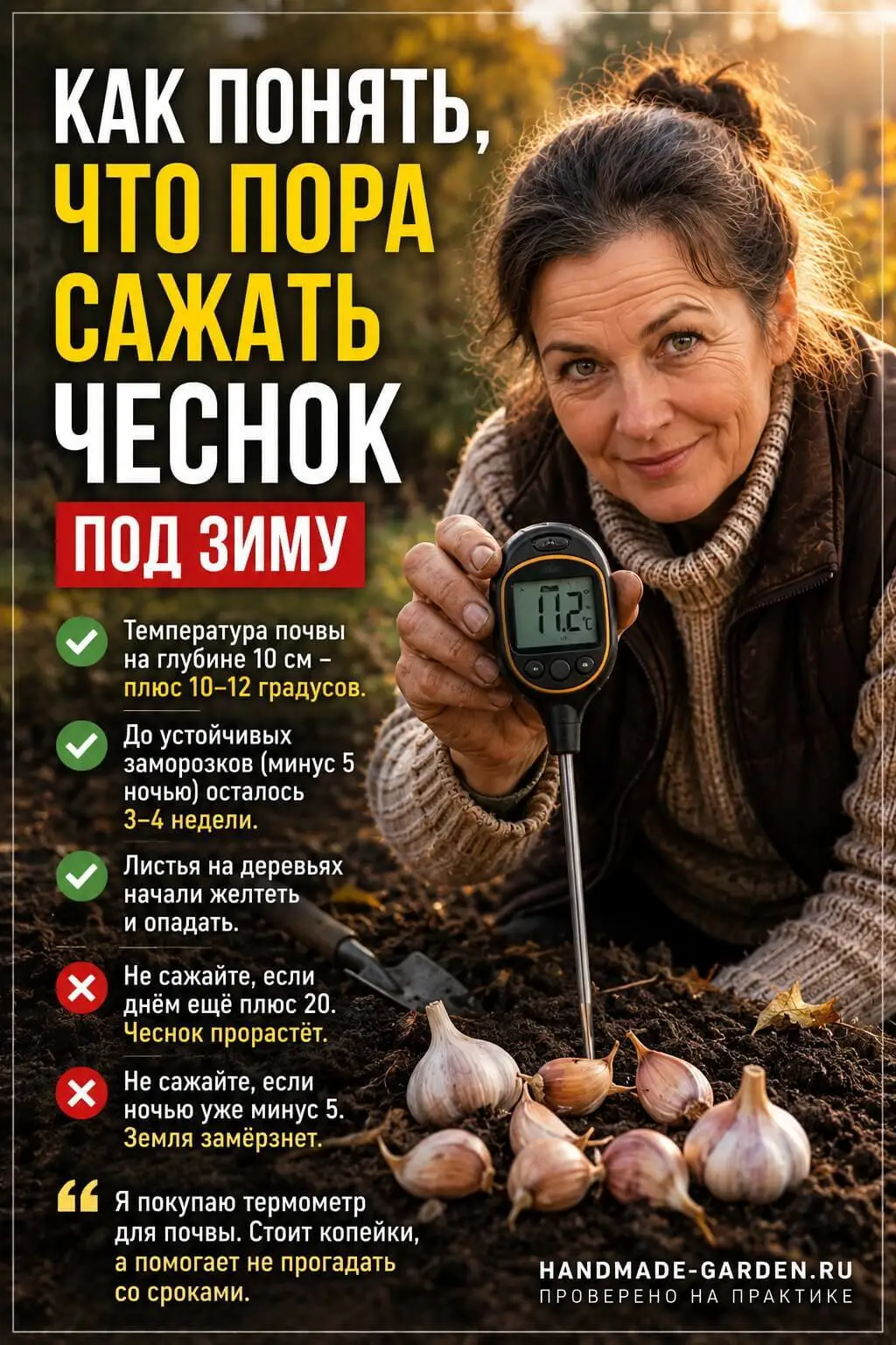 Как понять, что пора сажать чеснок под зиму